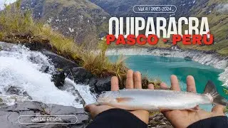 Día De PESCA  🎣 Día 4 en Quiparacra 2023-2024