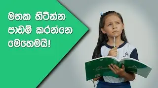 බොරුවට මහන්සි නොවී හරියට පාඩම් කරන්න | How to do studies effectively | Study Tips