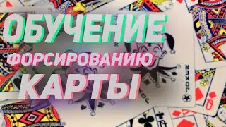 Обучение фокусу с картами | Навязывание карты | MAGIC FIVE | Александр Напорко Neroyoung #magicfive