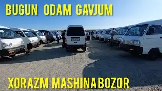 DAMAS NARXLARI | XORAZM MASHINA BOZOR NARXLAR TUSHMOQDA 27/08/2023