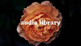 Happy | Dance | Electronic Music | [Copyright-safe] | Free to use