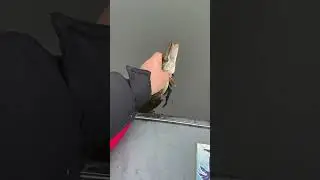 Рыбалка на Псковщине 9 🎣🎣🎣