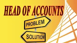 HEAD OF ACCOUNTS PROBLEM AND SOLUTION IN URDU / HINDI LANGUAGE