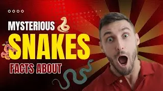 Mysterious Facts about Snakes! #knowledge #facts #shorts #trending #viral #snakes #naturefacts