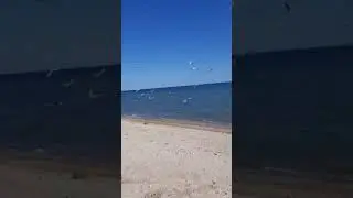 Любовь и море