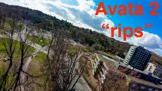 DJI Avata 2 in 4K60 with RockSteady 3.0+ 🎥
