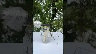 Candel Wax Backfire #shorts #mravi