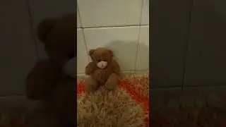 Болталка 😘 100 % Важная информация для подписчиков канала 🥰
