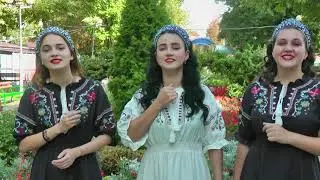 2020 год Видеопоздравление ко Дню г.Усть-Лабинска от ансамбля 