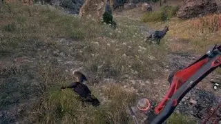 Far Cry 5 Invincible Skunk!