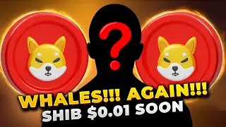Whales Trader are active again! Exchange Wallet Amassed 2.13T shib! shiba inu to $0.01 #shibainu