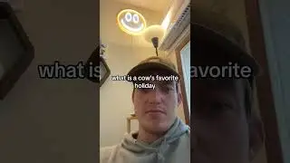 🐄 #iowa #amesiowa #hueyslife  #hueybcool #hueysdadjokes