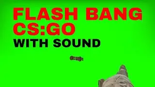 CS:GO Flash Bang: Green Screen + Sound [High Quality]