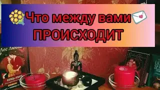 💐Что между вами происходит сейчас?💌Мысли, чувства, действия❤#tarot#тароонлайн  #гаданиеонлайн