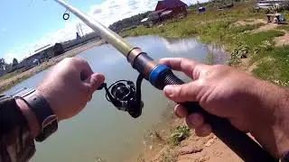 Рыбалка 🎣 на платных прудах!!!             Осётр,Карп,Линь,Карась!!! 2 часть.