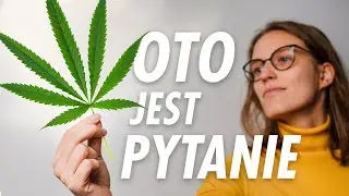 Czy marihuana powinna być legalna?