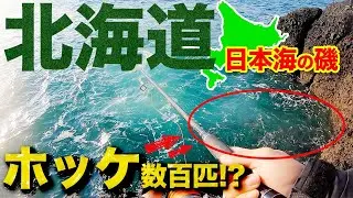【ホッケ入れ食い】ジグサビキの数だけホッケが釣れる？【兜千畳敷】