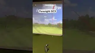 Foresight GC3 Quick Look