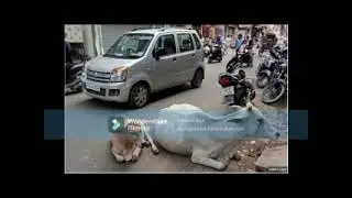 Feed Water to most needed. Need of the hour.