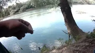 ловля уклейки на реке Кубань в ветреную погоду