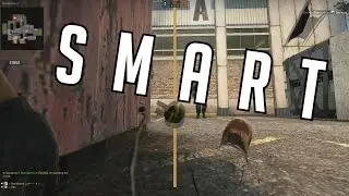 THE BEST STRAT | CS:GO