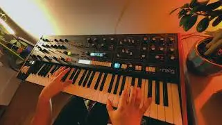 Moog Muse - Arpeggiator & Sound Design (It gets wild)