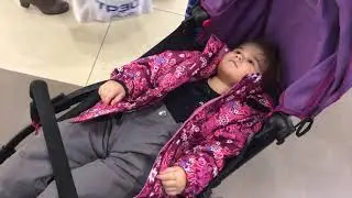 5 декабря 2017 г.