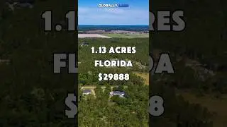 1.13 acres n Florida for $29,888 #foryou #realestate #land #shorts #property #fyp #usa #viral