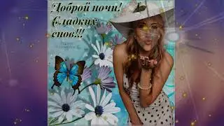Доброй ночи и сладких снов!