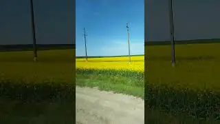 Краснодарский край Адыгея