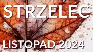 TAROT - STRZELEC LISTOPAD 2024