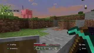 Mincraft 100 days #6 alone