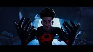 SPIDER MAN: ACROSS THE SPIDER VERSE