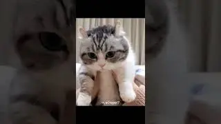 комару и захотел... 