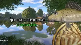 Русская Рыбалка 4 ► Ёрш-носарь, голд.наживка - р.Северский Донец