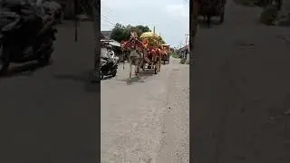 2 kereta mzdin kencana