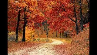 Antonio Vivaldi ♫♫♫ Four Seasons Complete