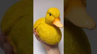 Unboxing Rc Duck boat / flytec v203