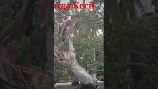 keren,seru& asiik