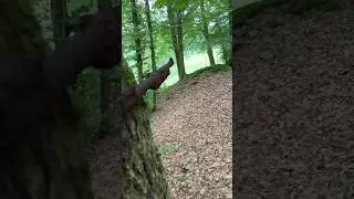 k-98. Ух ты, сохран удивил!