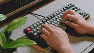 OWLab Mr. Suit Typing Sounds | Cream Switches | Carbon Fiber Plate