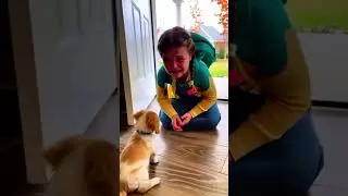 My Dog, My Forever Companion