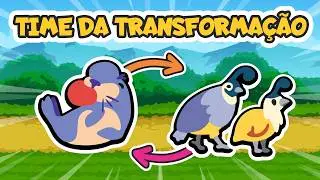 TIME TO TRANSFORM WITH THE QUAIL / Weekly Pack 🐯 - Super Auto Pets