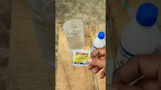 cara saya aplikasi GA3 pada bunga anggur