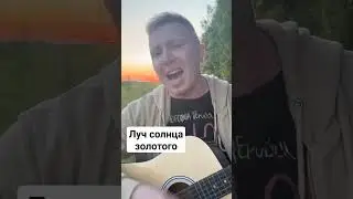 бременские музыканты на закате #гитара #music #shorts #reels