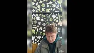 добрый день воскресенье(8.09.2024) вязальные думки