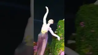 Сказка в парке цветов Дубай 