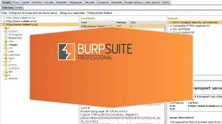 Packet Inspection Using Burp Suit