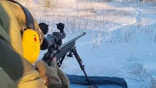 CZ-527 / Marcool STALKER 1-8x24 HD IR, 300 метров, Барнаул