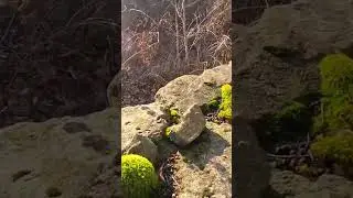 "Жемчужина Дона " что осталось ...